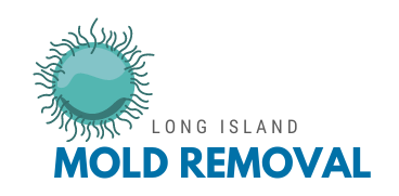 Mold Removal, Water/Flood Damage, Duct Cleaning for Long Island, NY